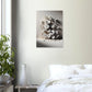 Affiche Vakiart : Fleurs en Douceur maquette
